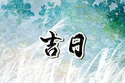 2025年04月28日是否宜提车？ 今天买新车合不合适？