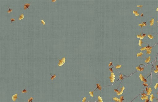 2025年05月18日装修有问题吗? 今天装修动工怎么样?