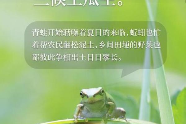 立夏：天文与农耕文化的交汇点