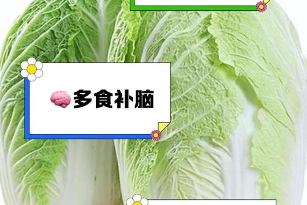 节令饮食&养生智慧~如何利用节日食物调养身体