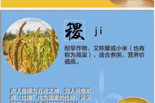 阿昌族的丰收节：与自然和谐共舞的习俗