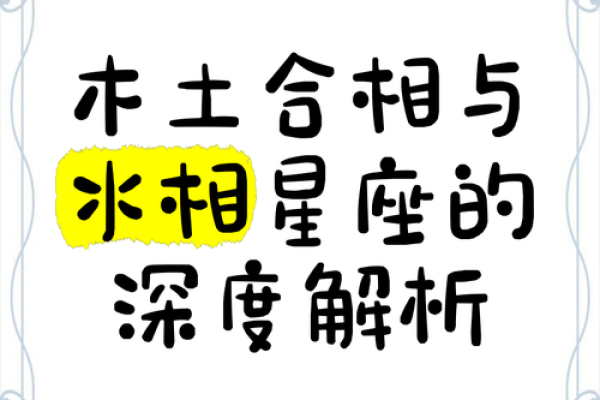 探寻11月14日农历生日星座之谜：揭秘传统与现代的奇妙交汇点