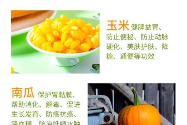 十月金秋：传统节令与秋季食物的营养价值