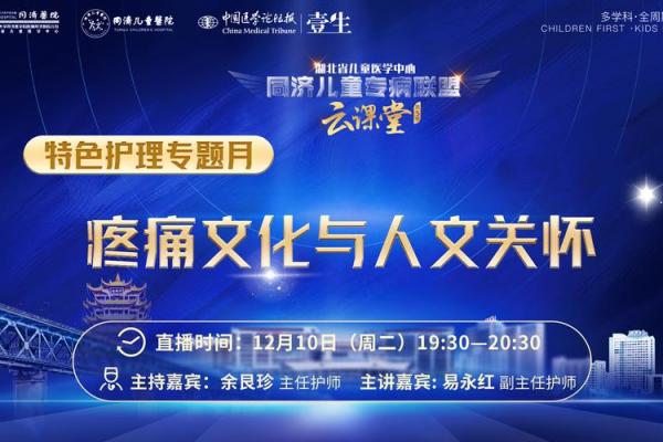 追溯历史：节日里的文化符号与人文关怀