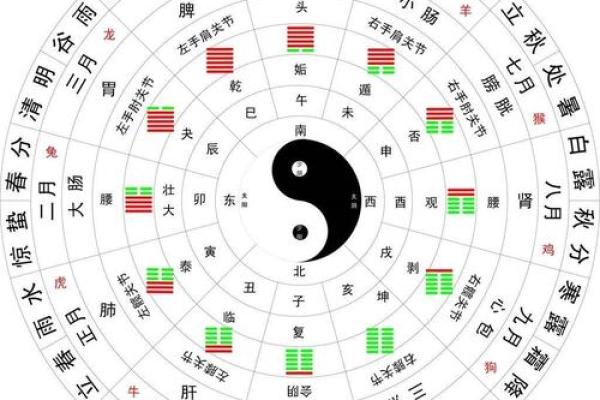 揭秘1968年农历：那个时代的月相与节气藏着哪些秘密？