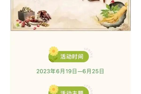 端午节养生智慧：食物与运动的完美搭配