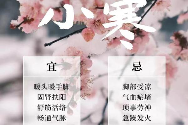 小寒与大寒的季节养生秘诀
