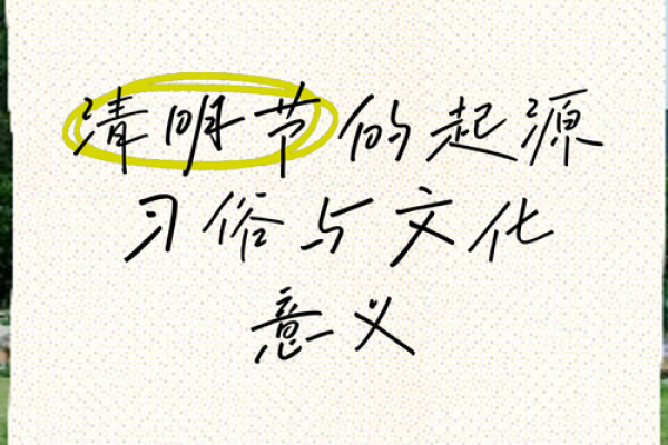节日的历史与文化深度：为何某些习俗至今传承