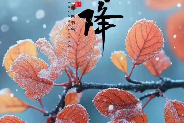 霜降节气与天文现象的关联，了解自然的变化规律
