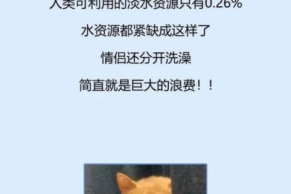 揭秘：沐浴吉日，隐藏的神奇力量，你竟然不知道？