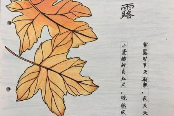 十月金秋，农历时节之谜：它是哪个季节的宝藏？