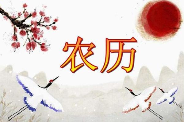揭秘农历：它为何比阳历更有中国味？