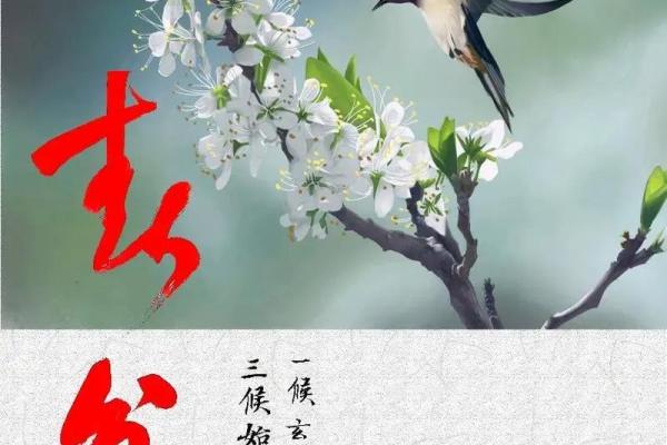 农历里的春分之谜：如何判断春天的真正到来？