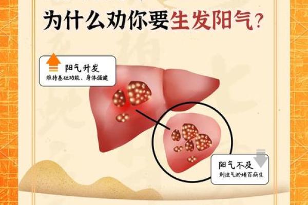 养生与节令：清明节背后的健康智慧