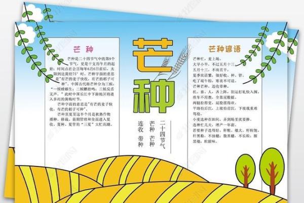 布依族农耕节日的天文与农业关联