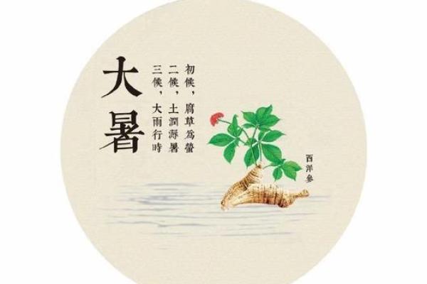 探秘传统节日中的养生智慧