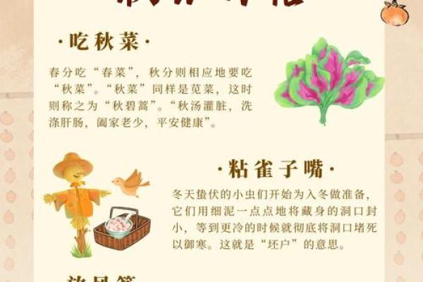 秋分：农耕文化中的节令习俗