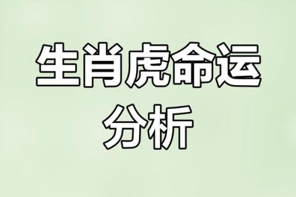 揭秘：吉日虎冲年，背后的神秘力量为何如此神奇？