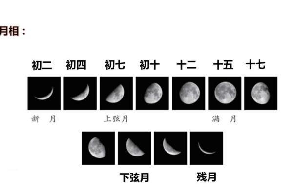 月相之谜：揭秘农历中隐藏的神秘月相变化规律