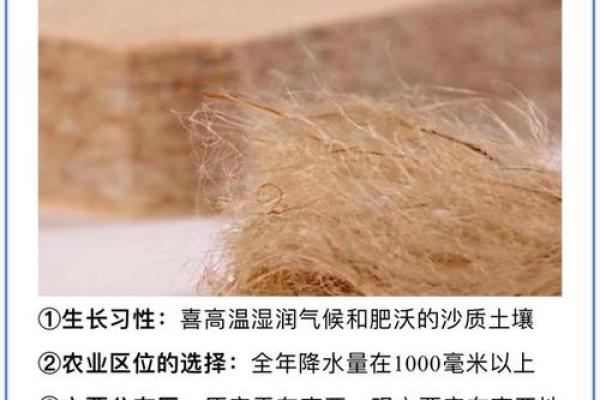 日如何影响了中国的气候与农作物生长