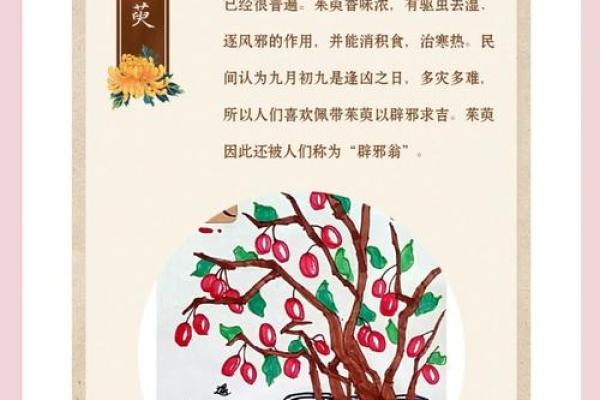 揭秘农历九月二十九的神秘习俗，你知道多少？