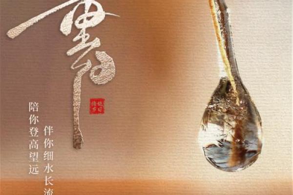 重阳节如何融入现代生活与节令养生