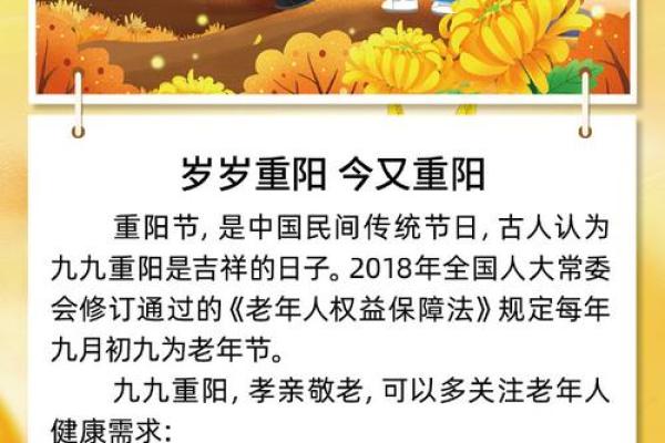 重阳节如何融入现代生活与节令养生