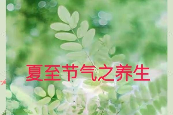 今天是夏至，探索养生与节气的独特关系