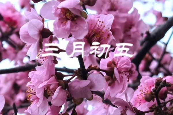 揭秘农历三月之谜：古人的春日狂欢，藏着哪些不为人知的习俗？
