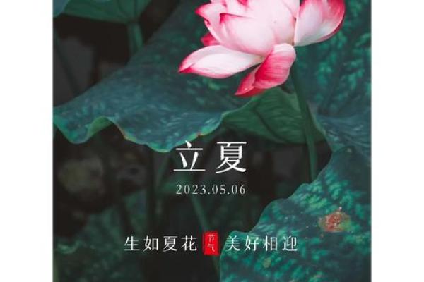 的节气与养生之道：如何调养身体迎接夏季的尾声