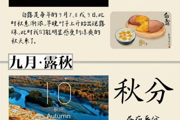 传承千年的节气与我们生活的关系