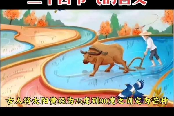 春秋节气与传统农耕节令的深刻联系