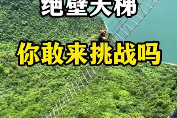 揭秘：董公吉日背后的神秘力量，你敢来挑战吗？