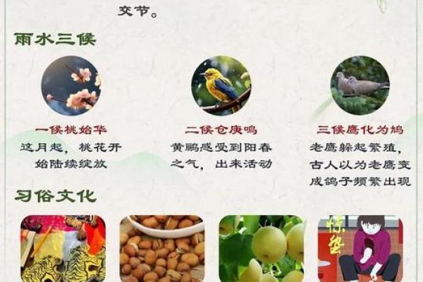 养生节气祝福语，关注身体与心灵的平衡