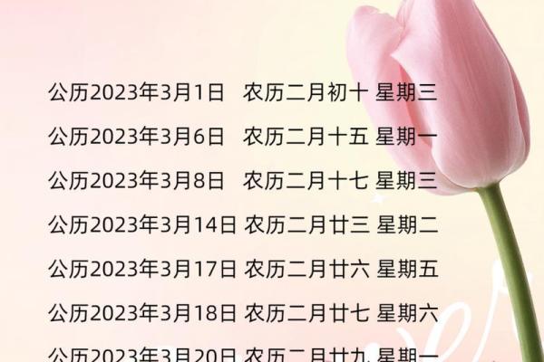 探寻8月吉日密码，你的最佳运势日在这里？