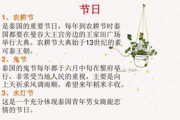 传承千年的内蒙古节日习俗与现代应用