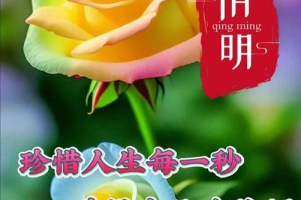 清明节祝福大全：祭祖与思念交织的文化祝福