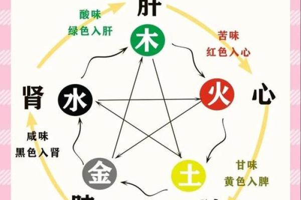 养生传统与五行调和的智慧