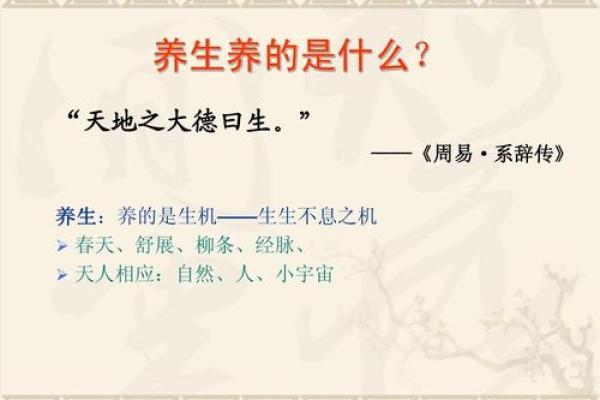 西班牙传统节日与养生之道
