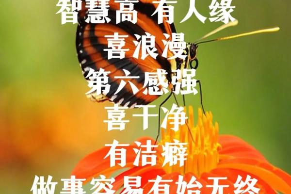 穿越时空，跟随农历的脚步，探寻古人的智慧生活