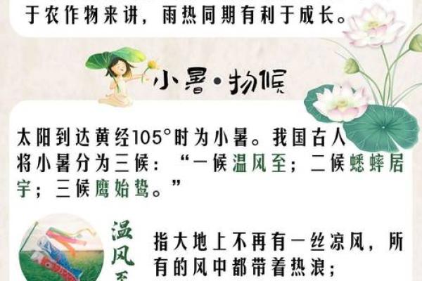 小暑节气防暑技巧：避免中暑，保持水分