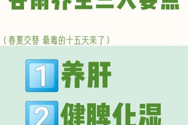 揭秘农历背后的智慧：一张表看懂24节气，顺应自然养生