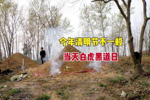 揭秘：黑道日竟成吉日？背后隐藏的神秘力量是什么？