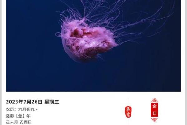 揭秘：黑道日竟成吉日？背后隐藏的神秘力量是什么？