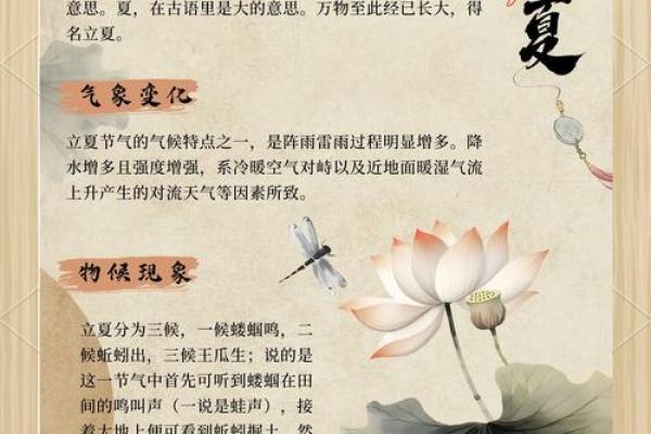立夏节气与养生之道的关系