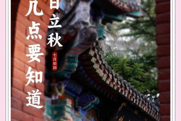 揭秘农历十一月十一：传统习俗中的神秘面纱，你了解多少？