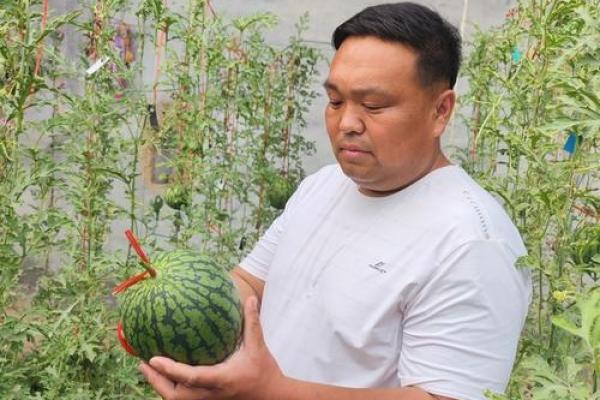 六月初六与节令的联系，深刻影响着农民的生活