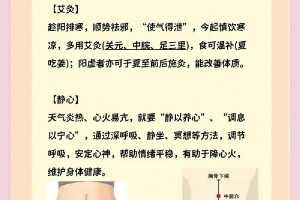 夏至节气养生指南，如何通过饮食调整应对炎热夏季