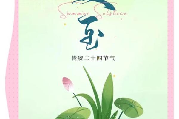 夏至节气养生指南，如何通过饮食调整应对炎热夏季