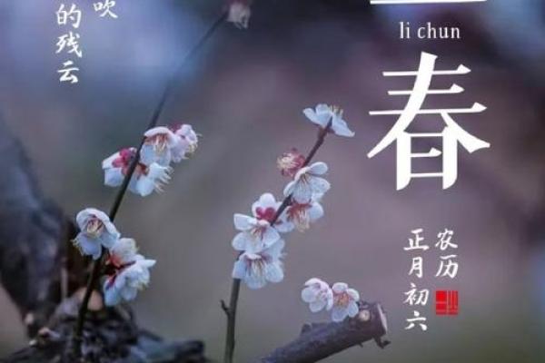 三月初一揭秘：隐藏在春日晨光中的神秘传统节日